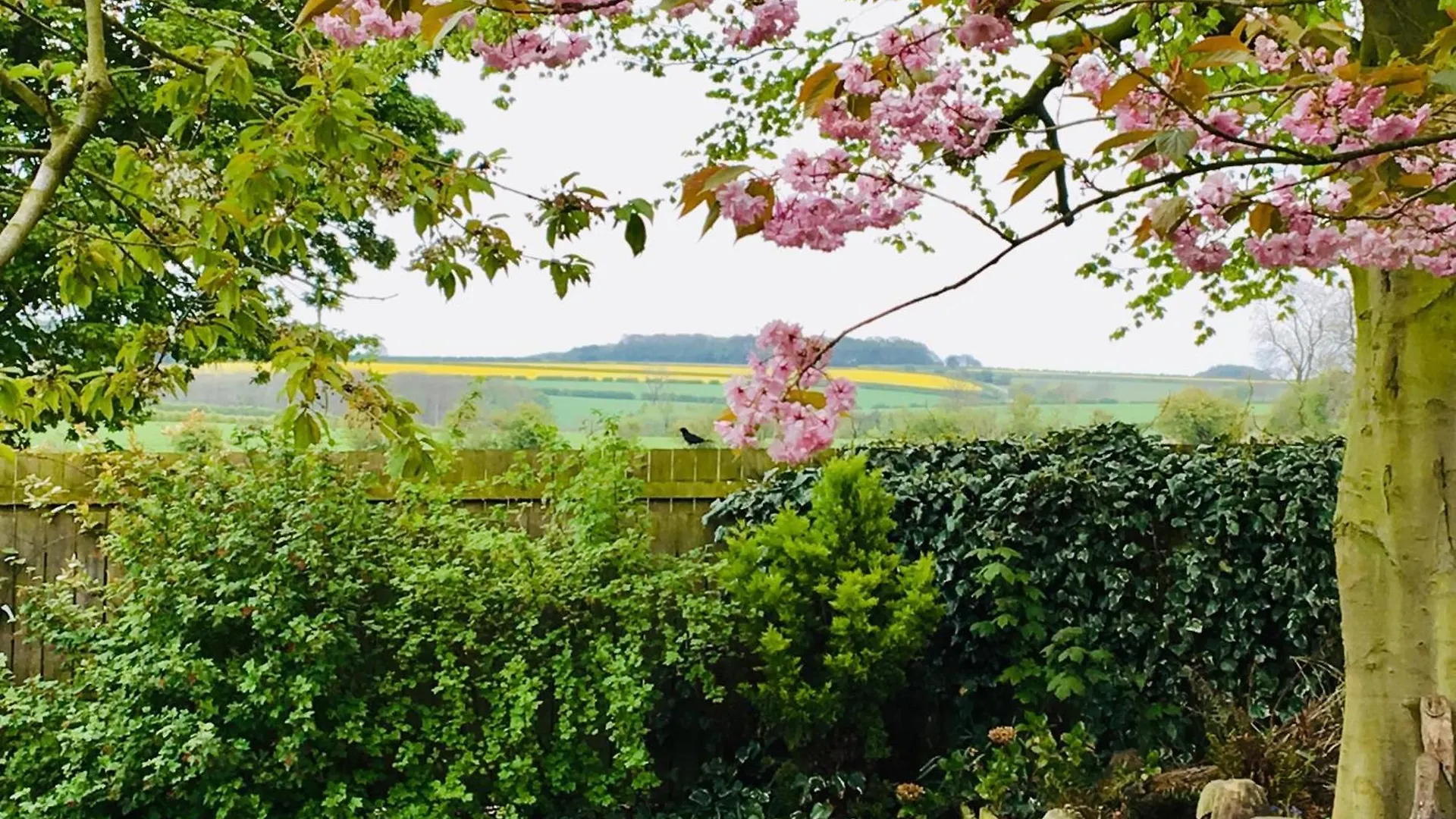 5* Family Holiday Home In The Yorkshire Wolds Huggate Großbritannien